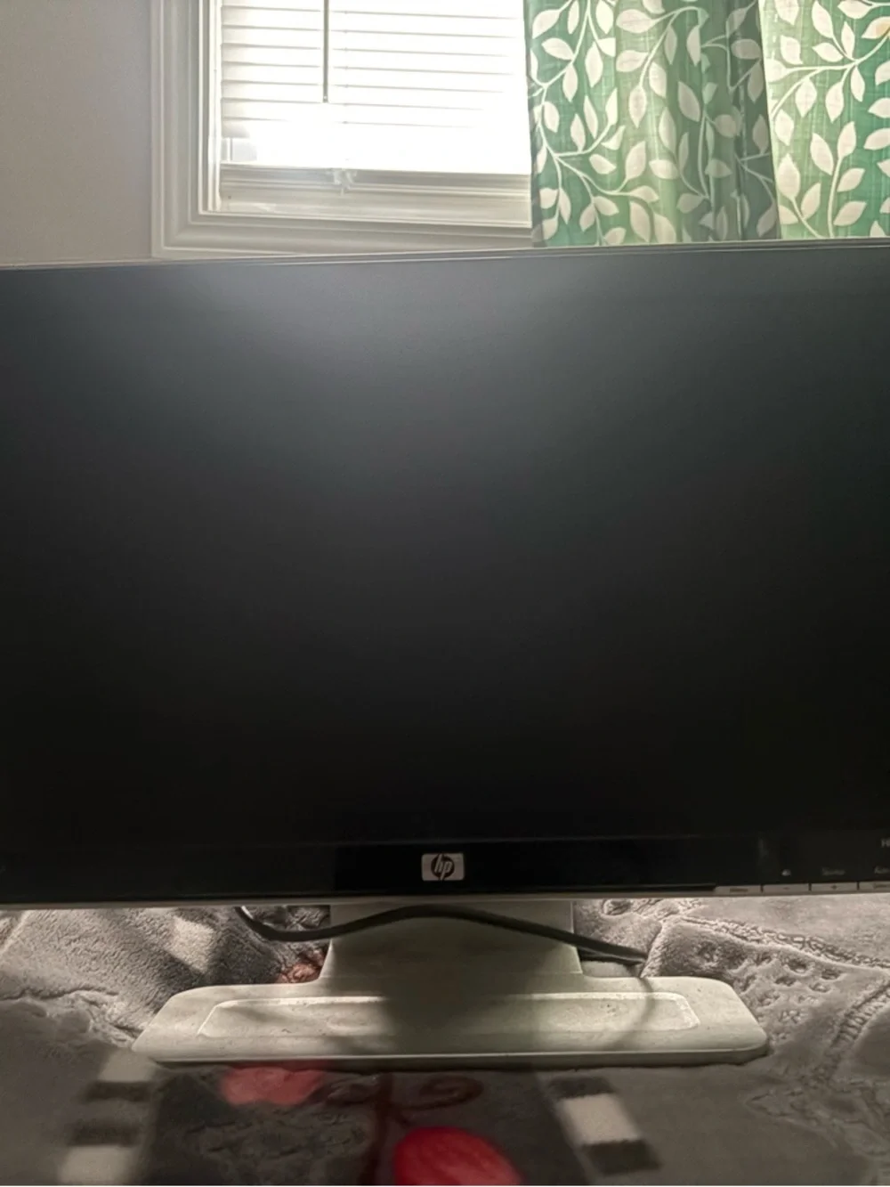 HP Black & Silver Computer Monitor